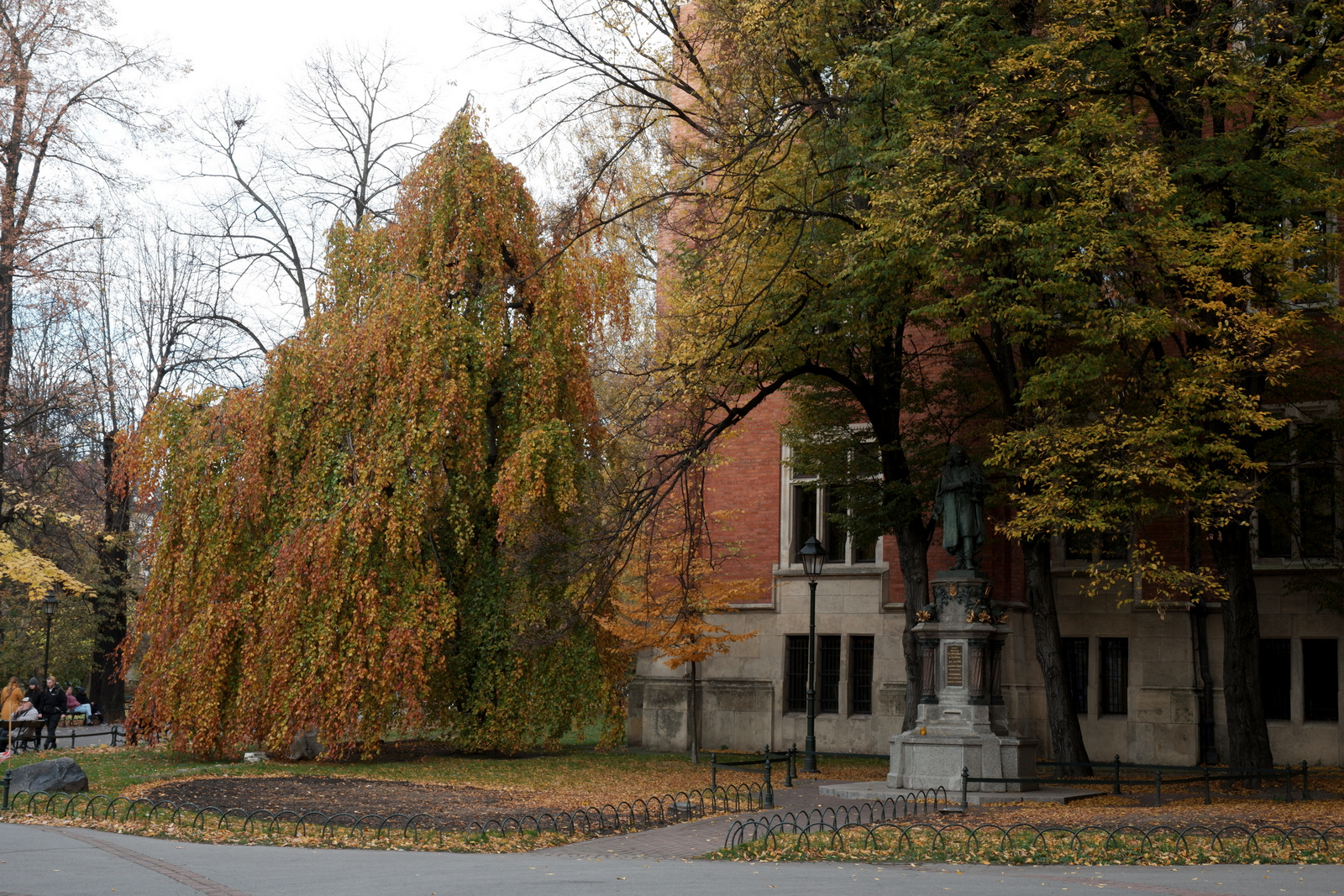 Nazwa:  DSCF8697.JPG
Wyświetleń: 255
Rozmiar:  1.013,5 KB