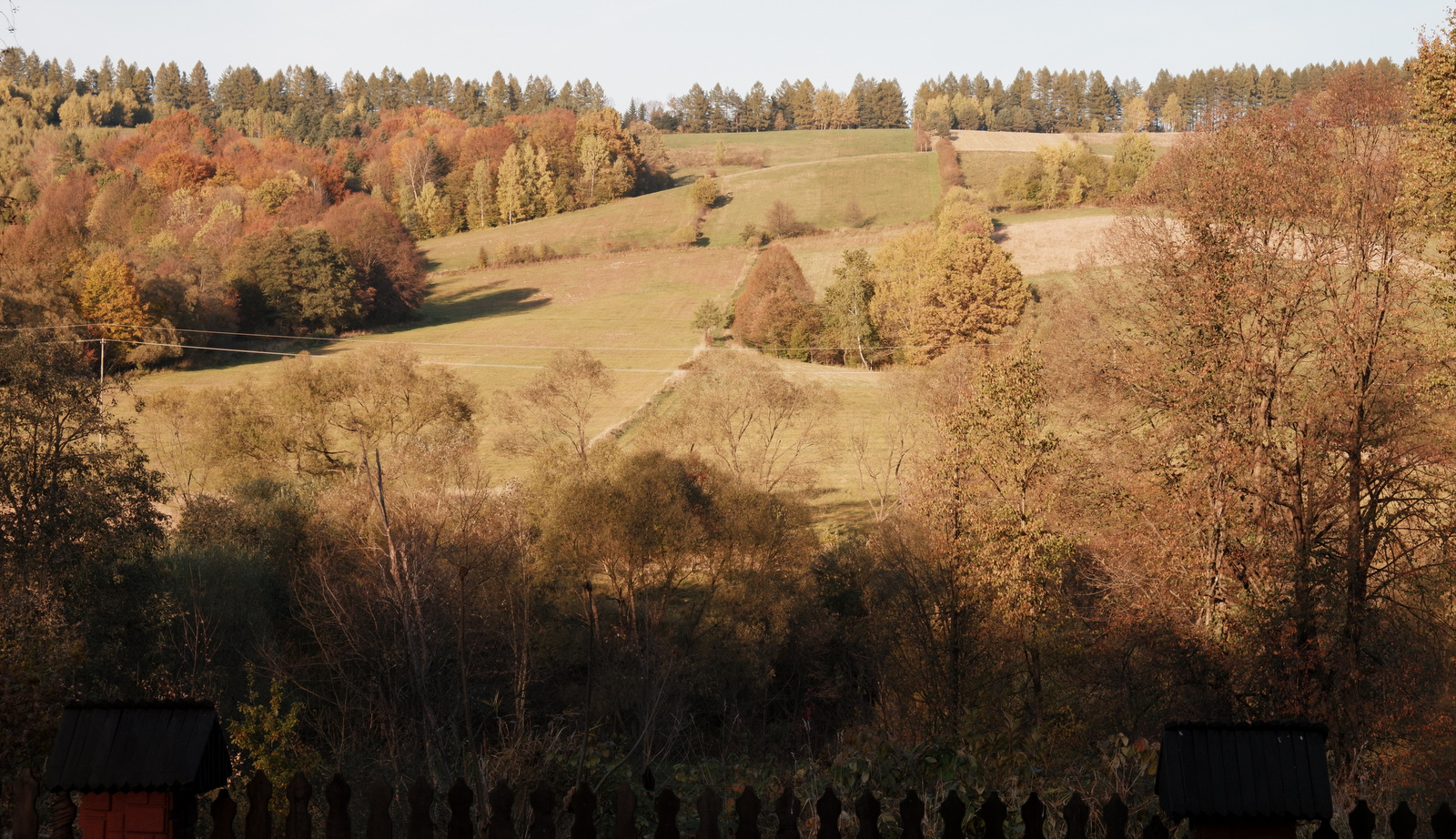 Nazwa:  DSCF8339.JPG
Wyświetleń: 284
Rozmiar:  741,0 KB