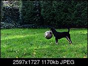 Kliknij obrazek, aby uzyskać większą wersję

Nazwa:	g.jpg
Wyświetleń:	54
Rozmiar:	1,14 MB
ID:	238767