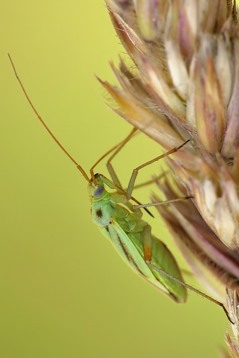 Nazwa:  51459059320_6f3899ac8a_o.jpg
Wyświetleń: 194
Rozmiar:  120,5 KB