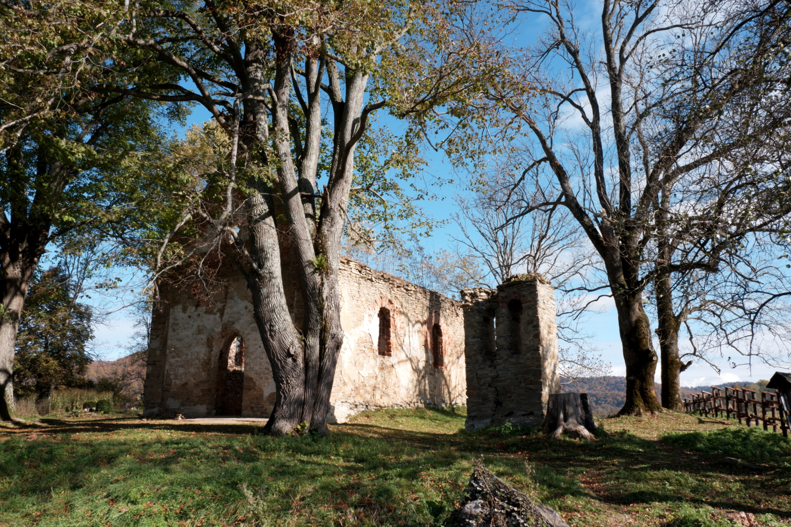 Nazwa:  DSCF8450.JPG
Wyświetleń: 167
Rozmiar:  1,01 MB