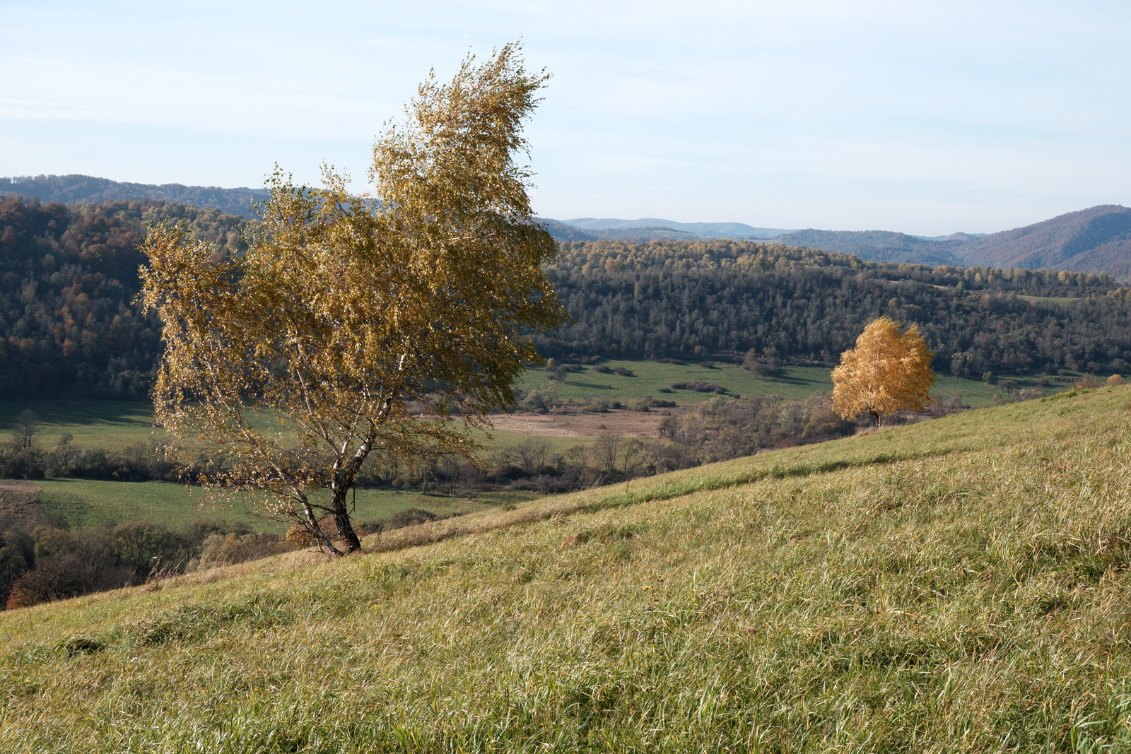 Nazwa:  DSCF8496.JPG
Wyświetleń: 134
Rozmiar:  908,7 KB