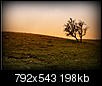 Kliknij obrazek, aby uzyskać większą wersję

Nazwa:	P9236072.jpg
Wyświetleń:	160
Rozmiar:	198,3 KB
ID:	23893