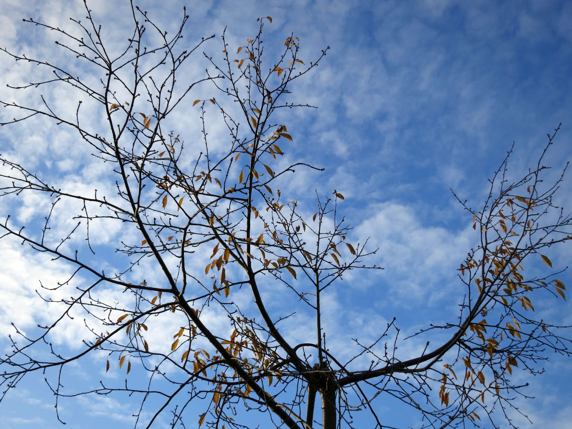 Kliknij obrazek, aby uzyskać większą wersję

Nazwa:	IMG_6007E1900.jpg
Wyświetleń:	168
Rozmiar:	457,2 KB
ID:	239068