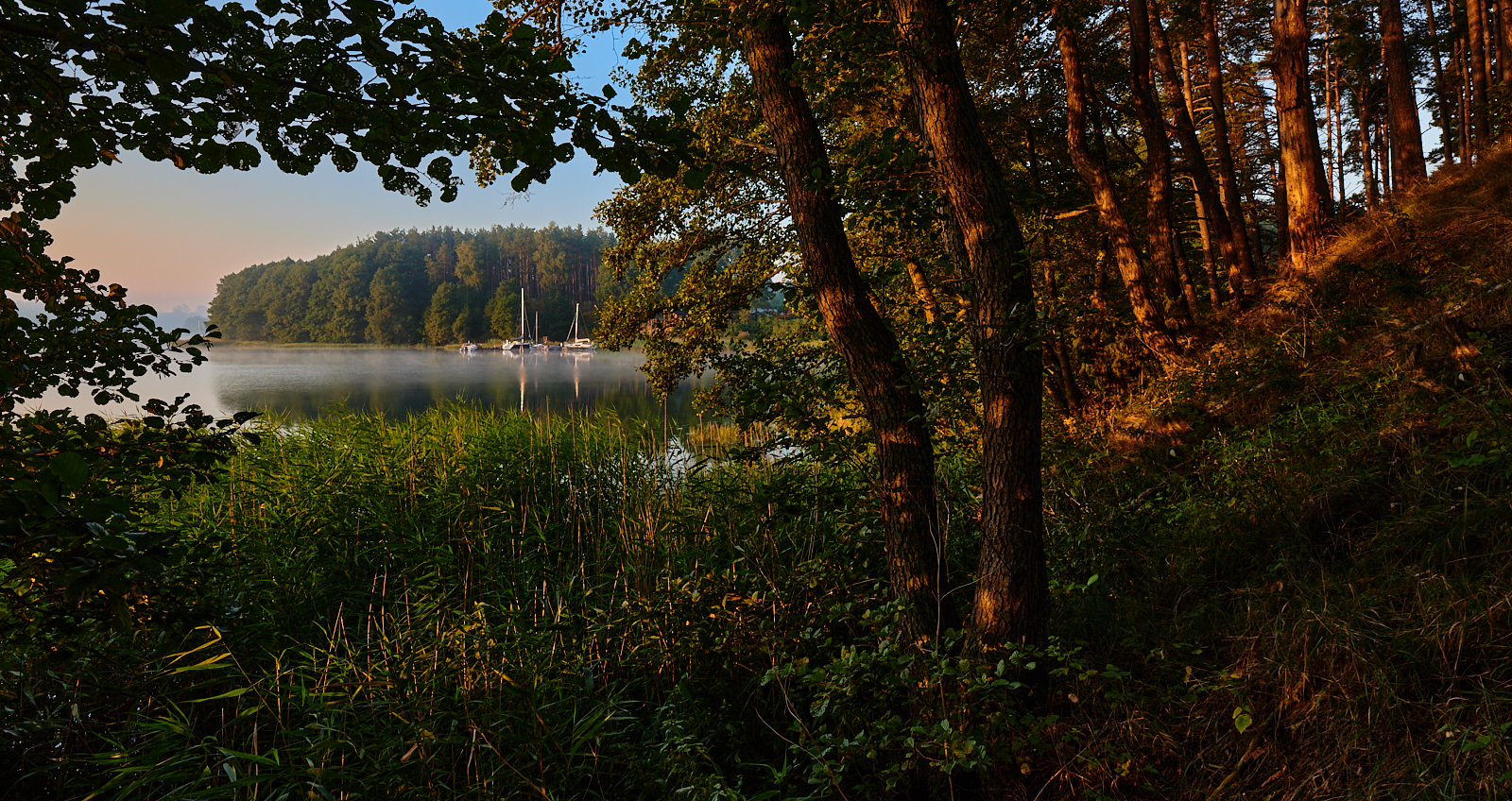 Nazwa:  _JES5168 5.jpg
Wyświetleń: 151
Rozmiar:  2,29 MB