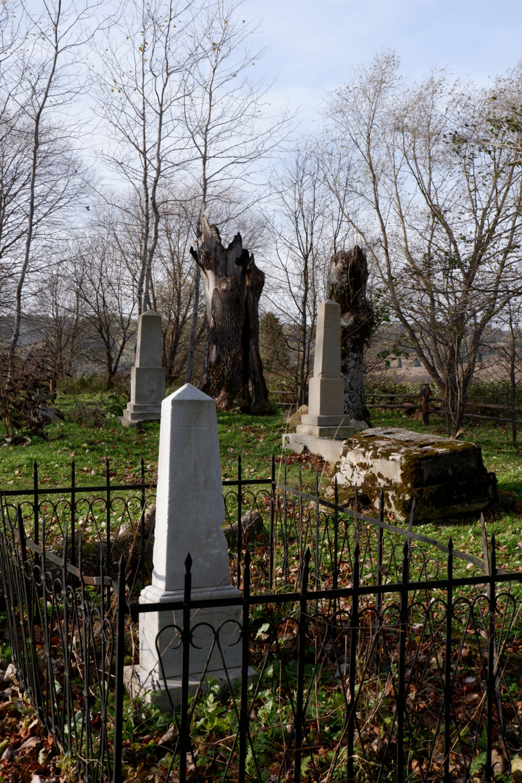 Nazwa:  DSCF8544.JPG
Wyświetleń: 250
Rozmiar:  918,6 KB
