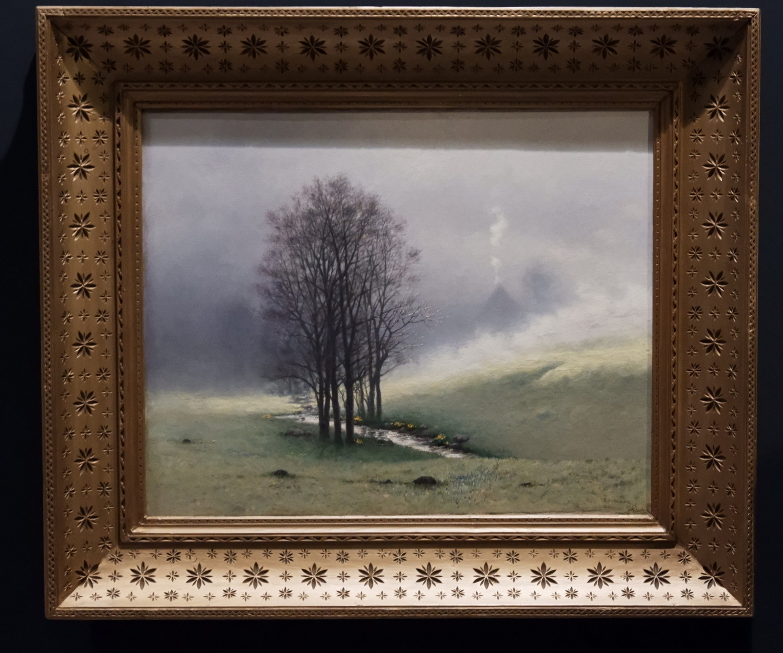 Nazwa:  DSCF8914.JPG
Wyświetleń: 184
Rozmiar:  538,2 KB