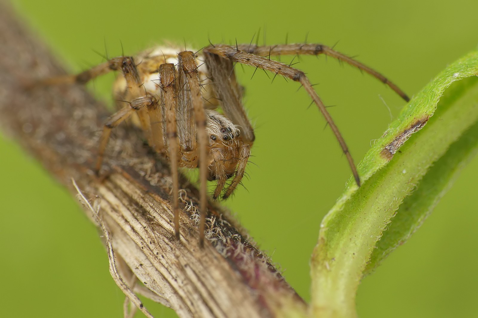 Nazwa:  51628724276_fc035b37c7_o.jpg
Wyświetleń: 262
Rozmiar:  232,2 KB