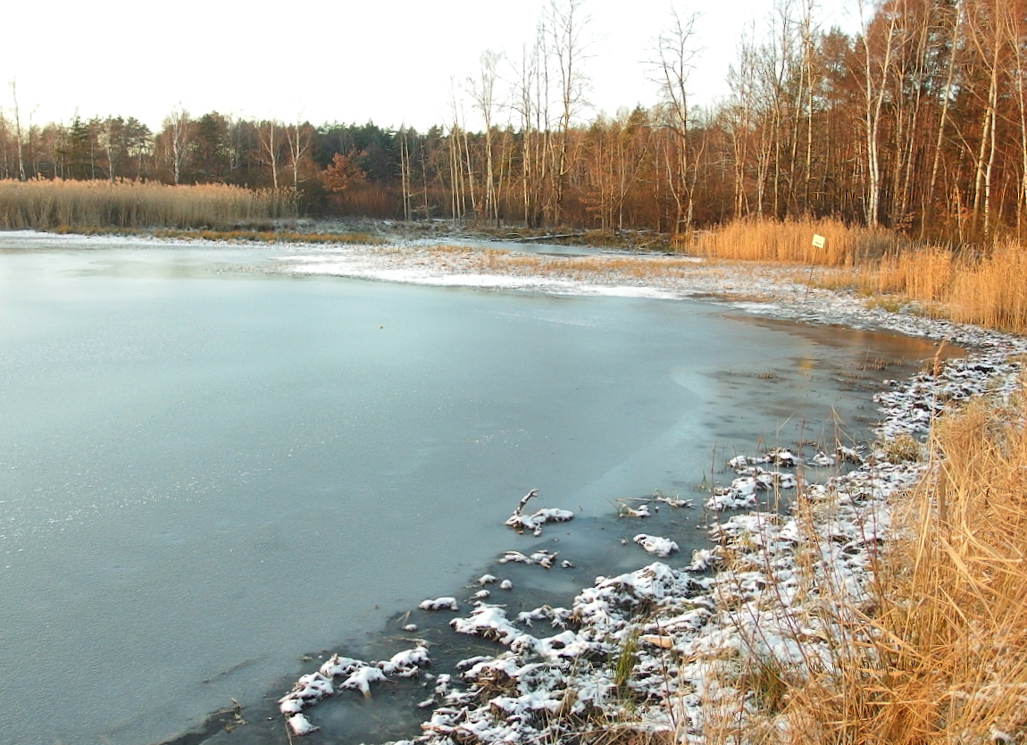 Nazwa:  PC260023.JPG
Wyświetleń: 183
Rozmiar:  514,1 KB