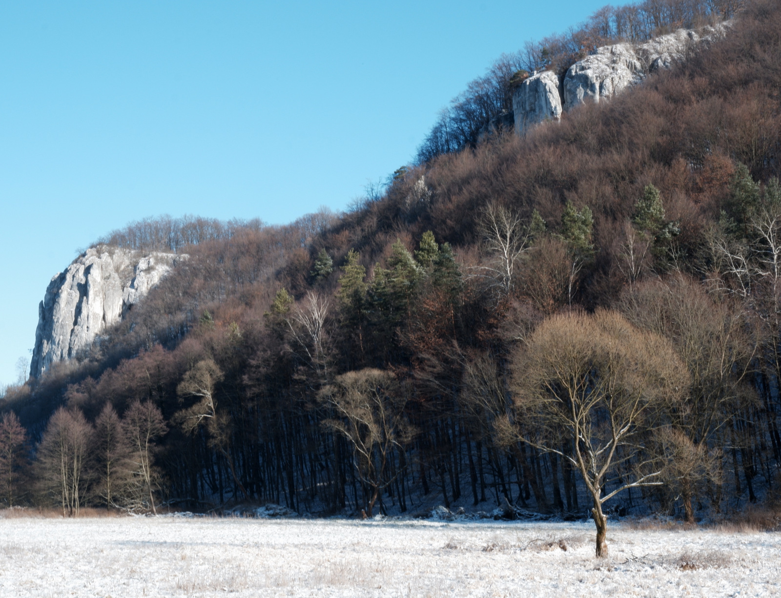 Nazwa:  DSCF9052.JPG
Wyświetleń: 127
Rozmiar:  672,9 KB