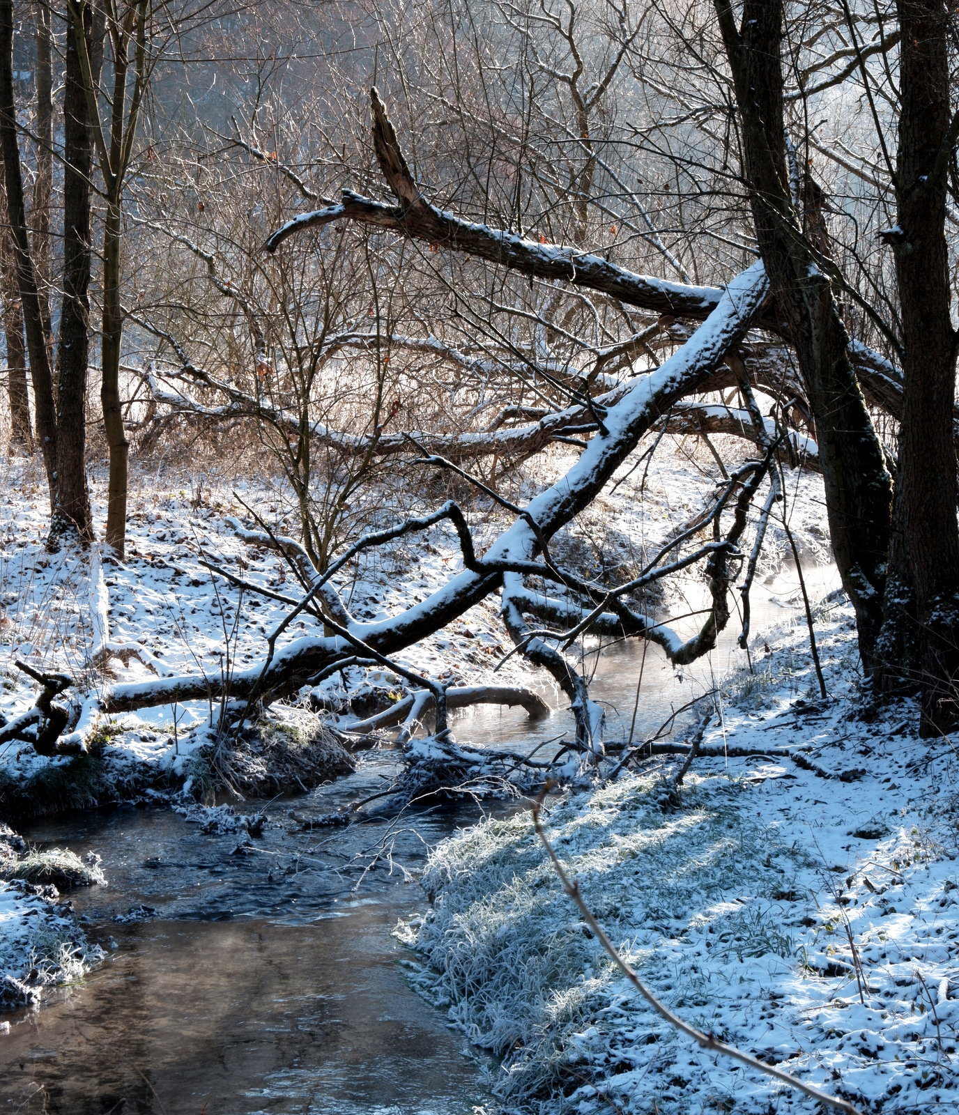 Nazwa:  DSCF9046.JPG
Wyświetleń: 110
Rozmiar:  1,43 MB