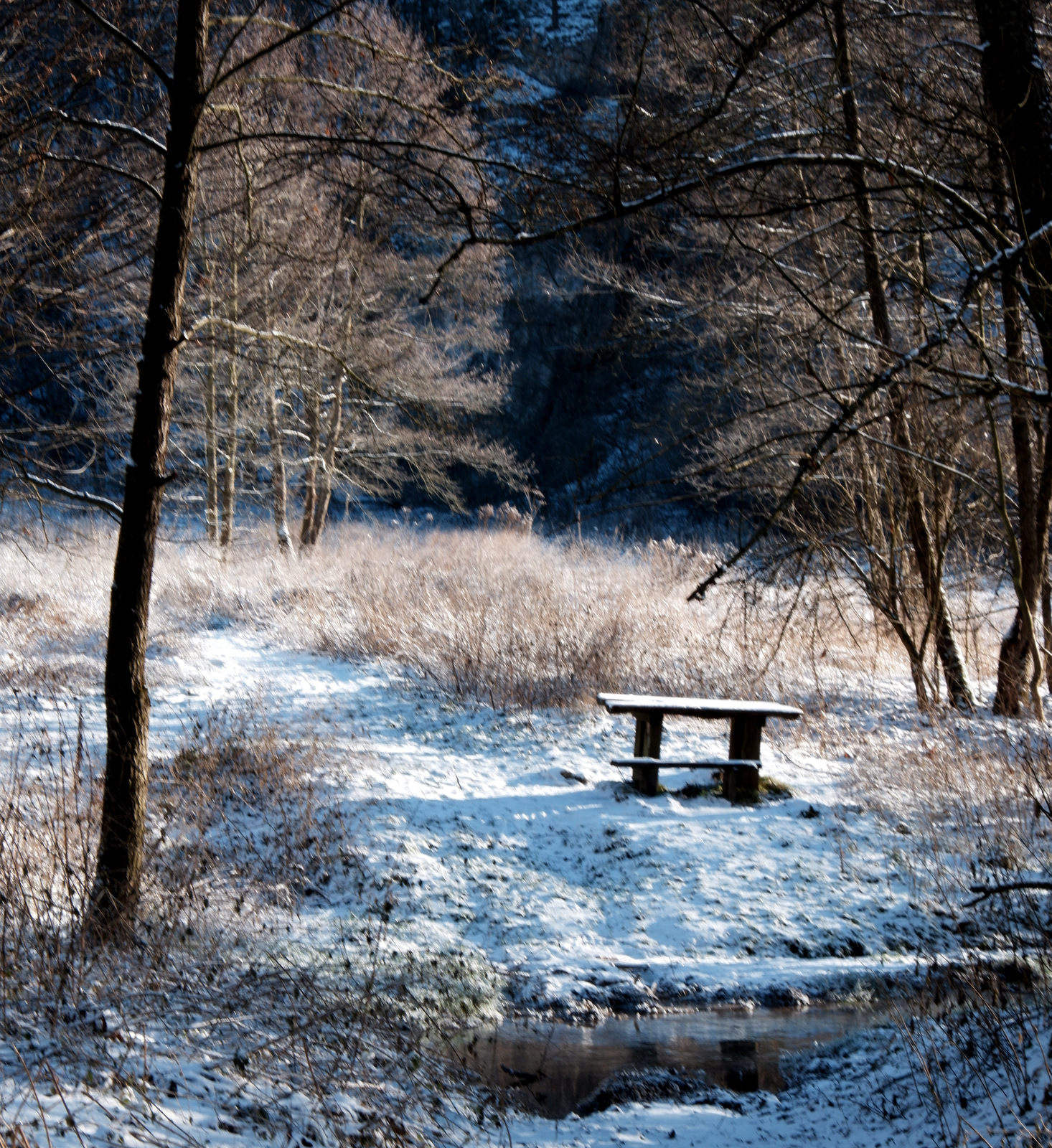 Nazwa:  DSCF9045.JPG
Wyświetleń: 117
Rozmiar:  1,20 MB