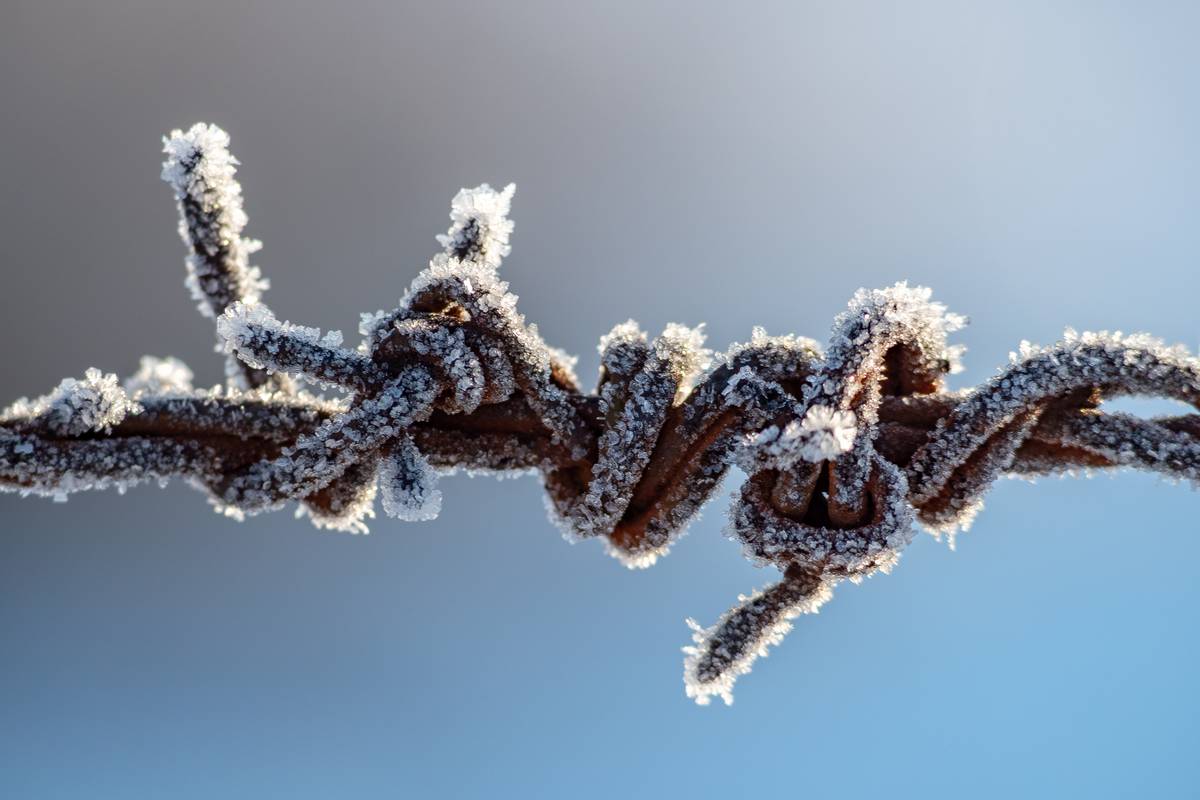 Nazwa:  winter6.jpg
Wyświetleń: 84
Rozmiar:  94,9 KB