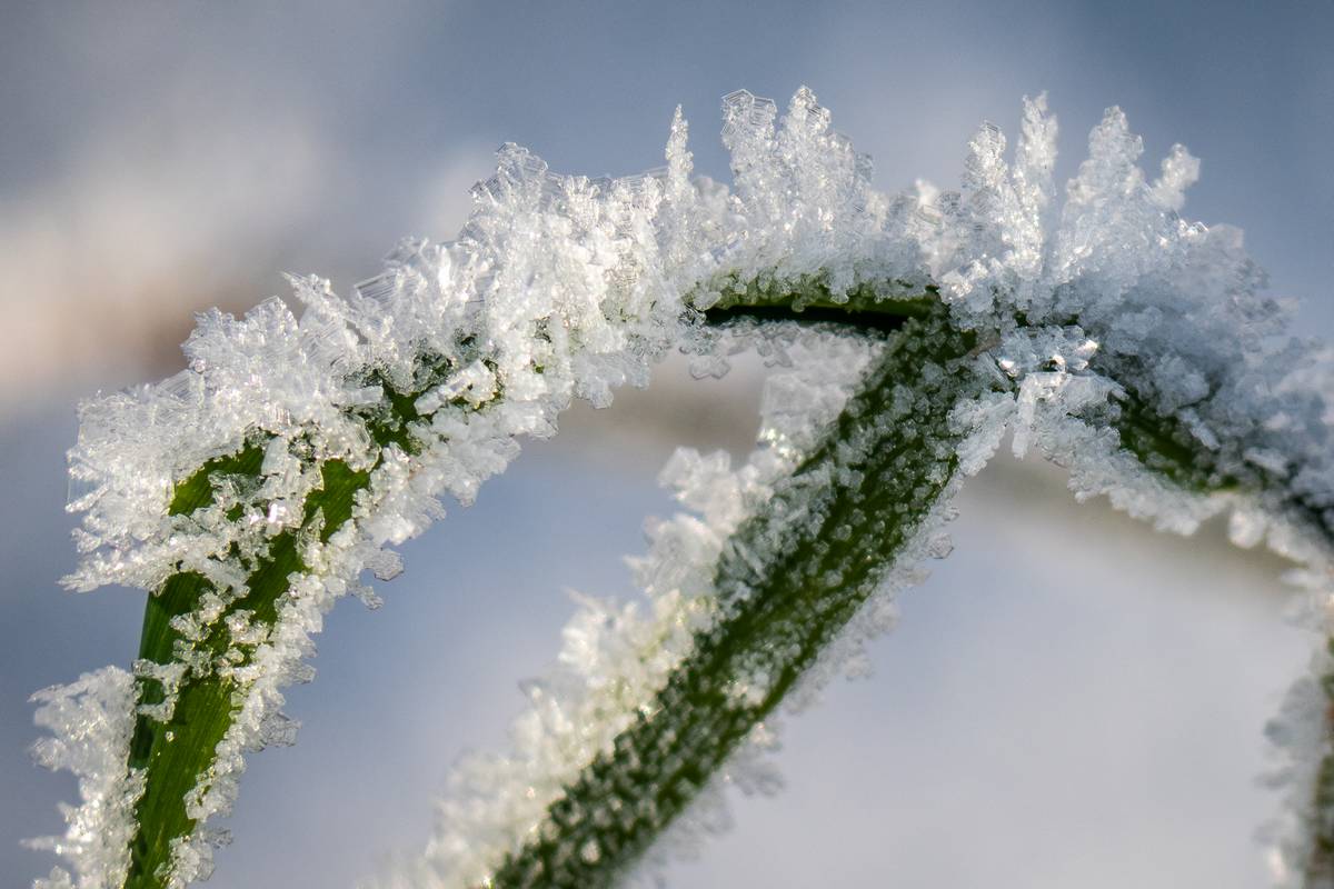 Nazwa:  winter2.jpg
Wyświetleń: 88
Rozmiar:  118,5 KB