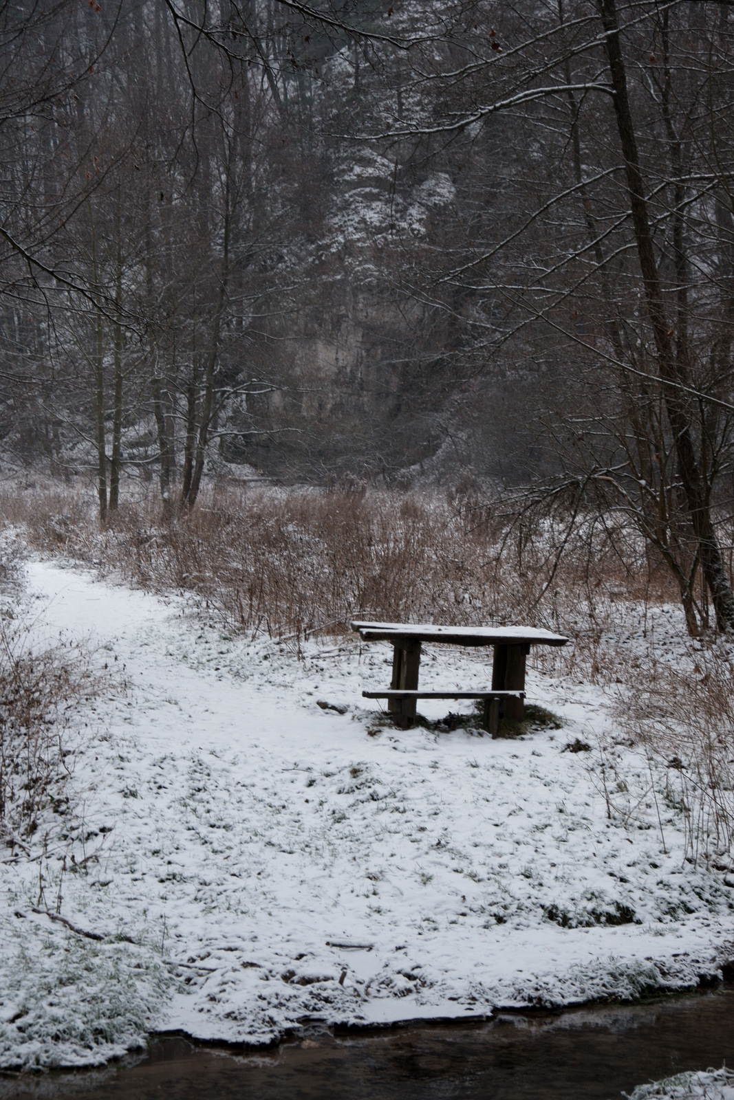 Nazwa:  DSCF9084.JPG
Wyświetleń: 143
Rozmiar:  777,7 KB