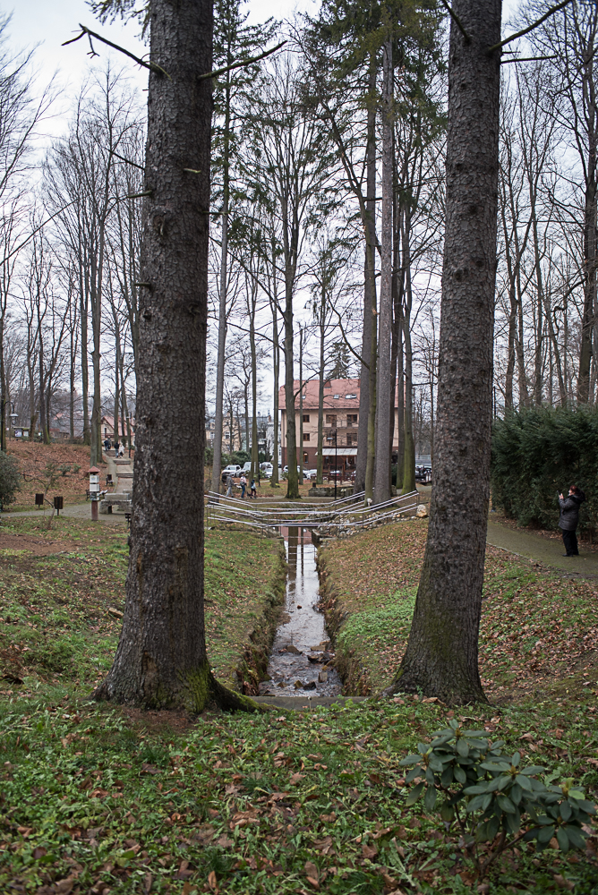 Nazwa:  DSC_6979.jpg
Wyświetleń: 152
Rozmiar:  994,3 KB