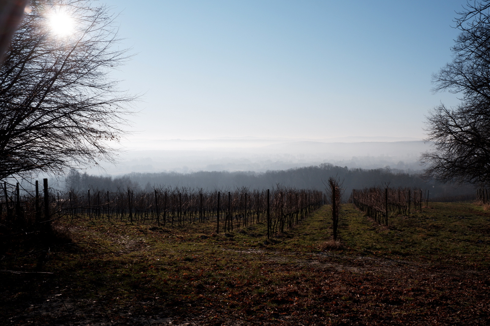 Nazwa:  DSCF9133.JPG
Wyświetleń: 175
Rozmiar:  676,5 KB