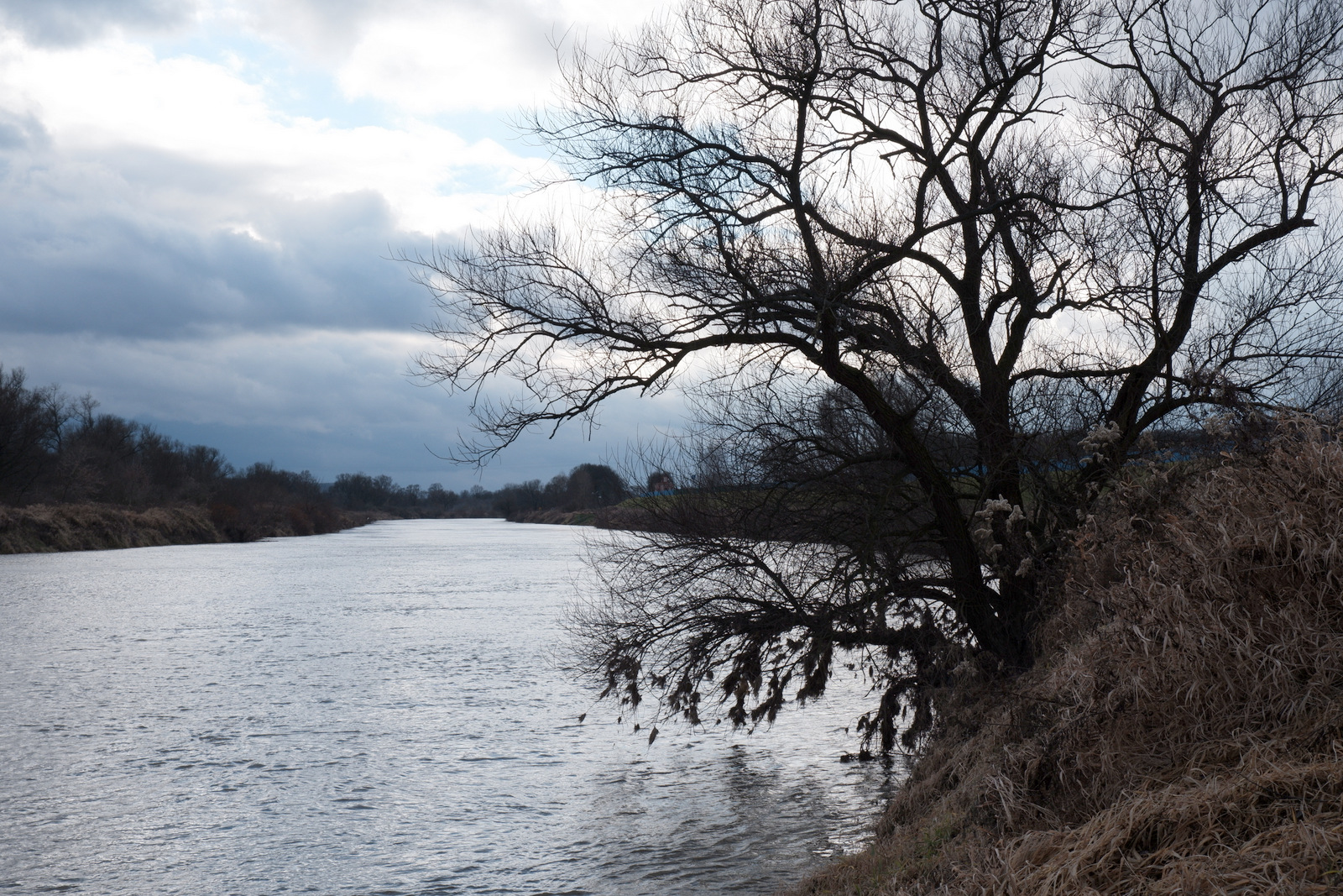 Nazwa:  DSCF9113.JPG
Wyświetleń: 173
Rozmiar:  846,0 KB