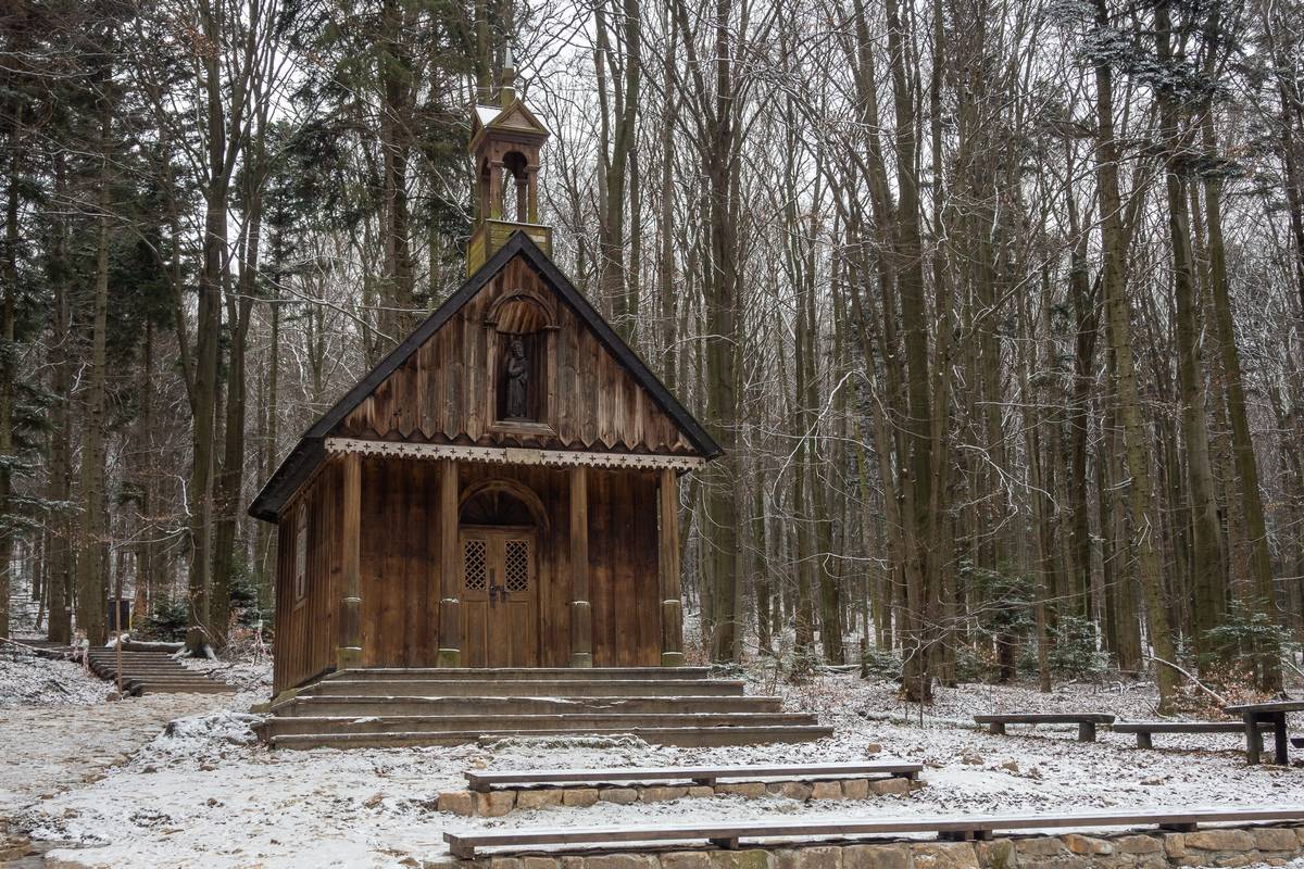 Nazwa:  lysica6.jpg
Wyświetleń: 136
Rozmiar:  294,0 KB