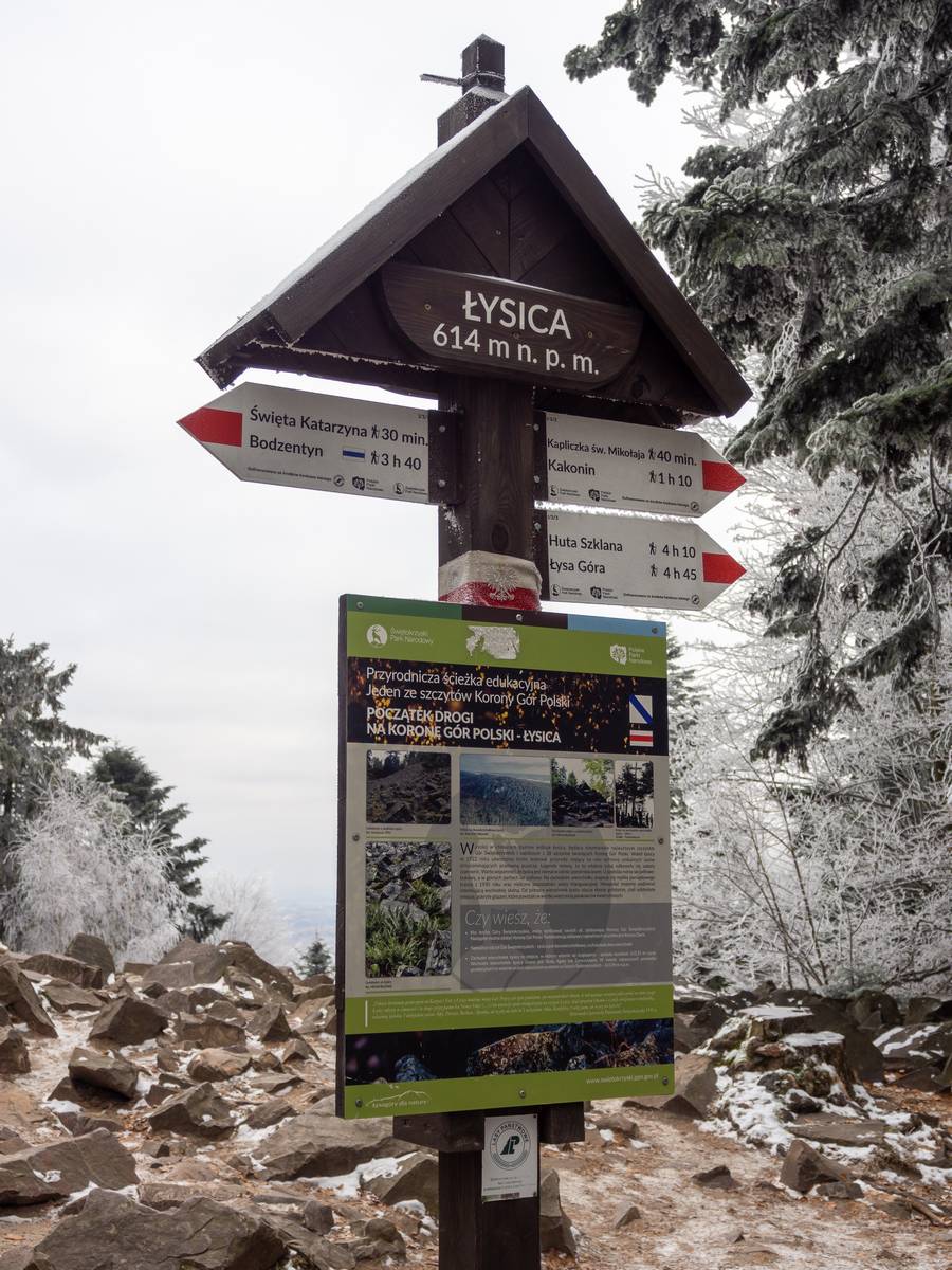 Nazwa:  lysica11.jpg
Wyświetleń: 140
Rozmiar:  212,3 KB