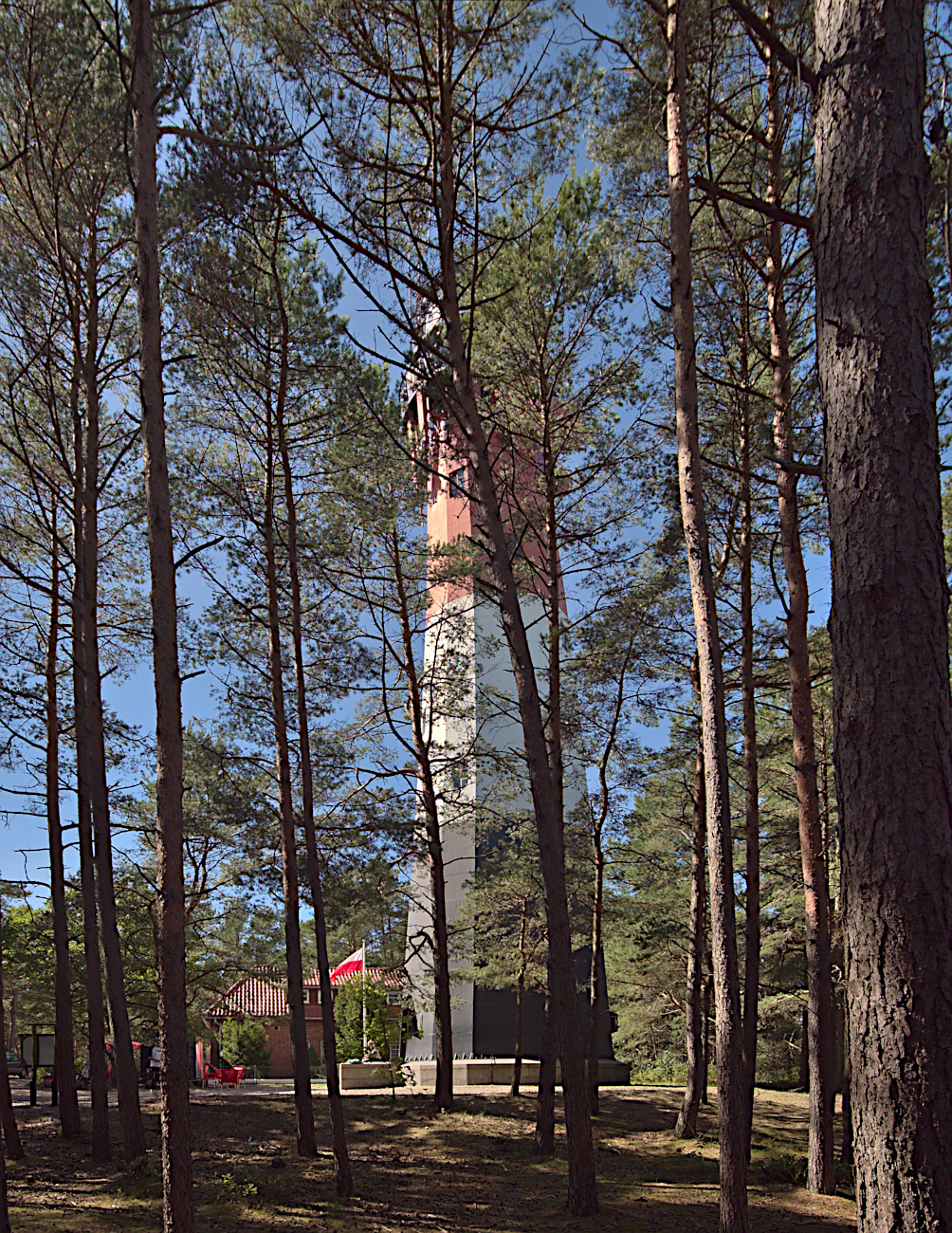 Nazwa:  P1048369.jpg
Wyświetleń: 137
Rozmiar:  1,57 MB