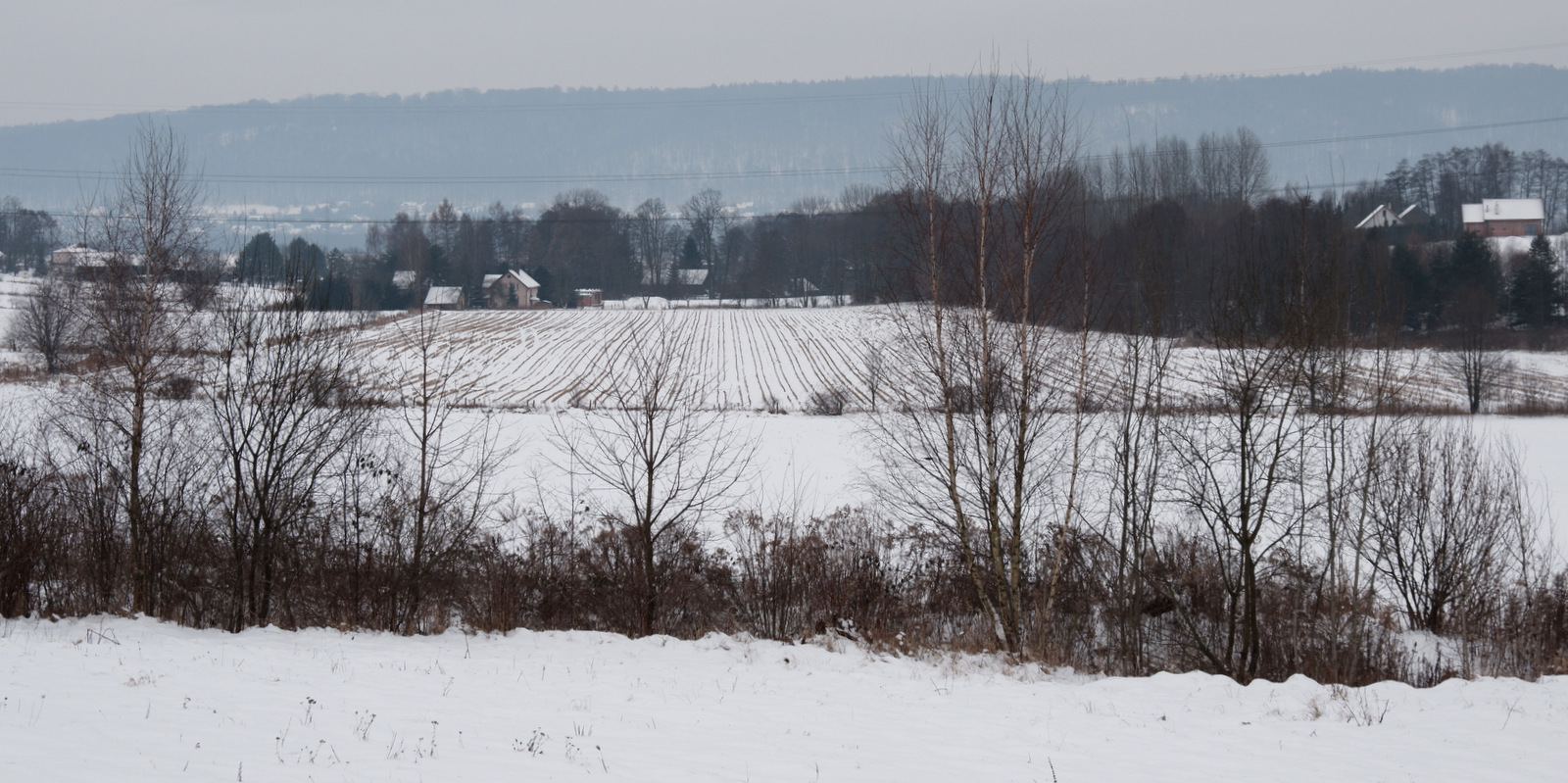 Nazwa:  DSCF9226.JPG
Wyświetleń: 194
Rozmiar:  457,9 KB