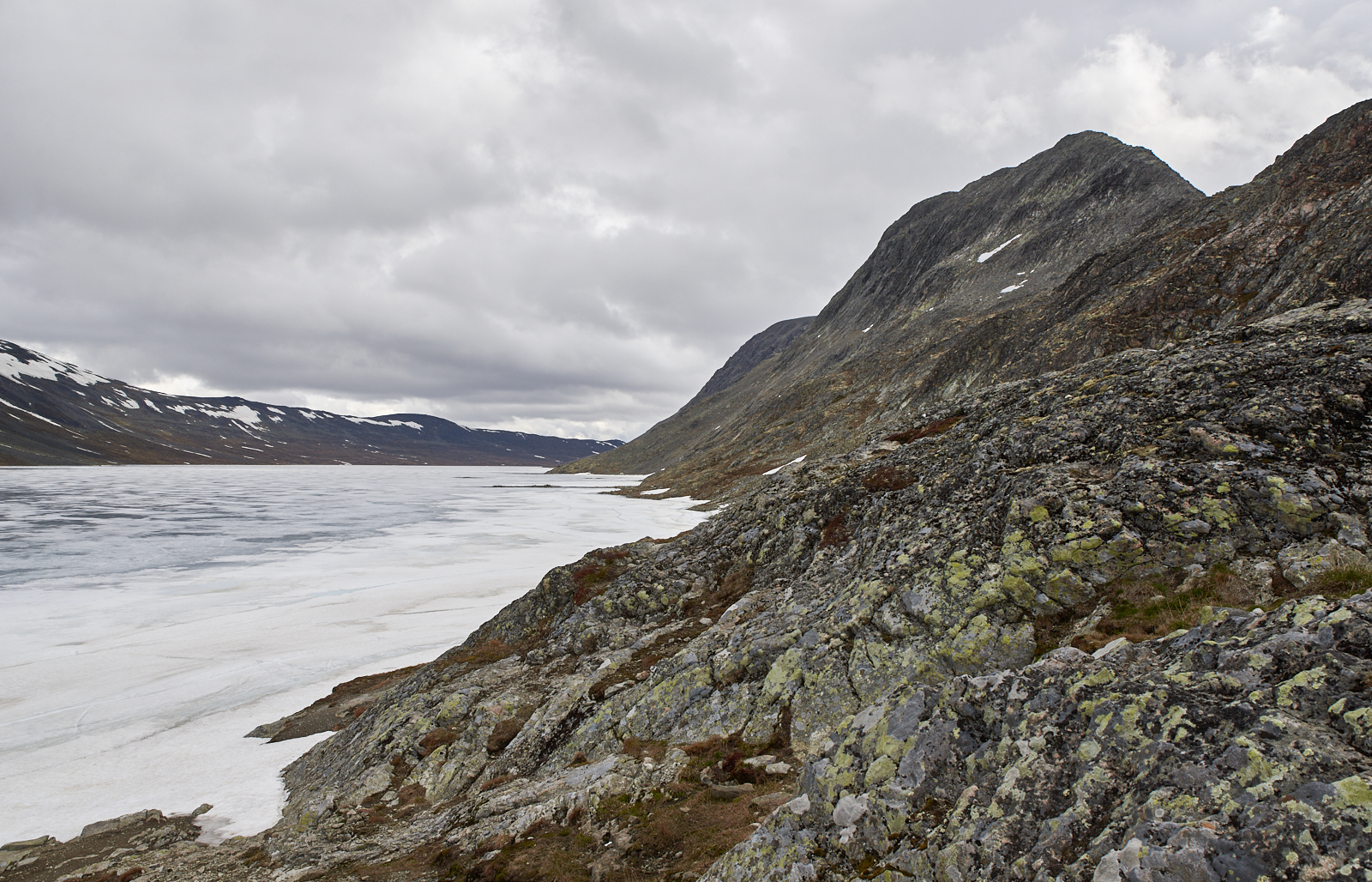 Nazwa:  _N193612 2.jpg
Wyświetleń: 173
Rozmiar:  1,87 MB