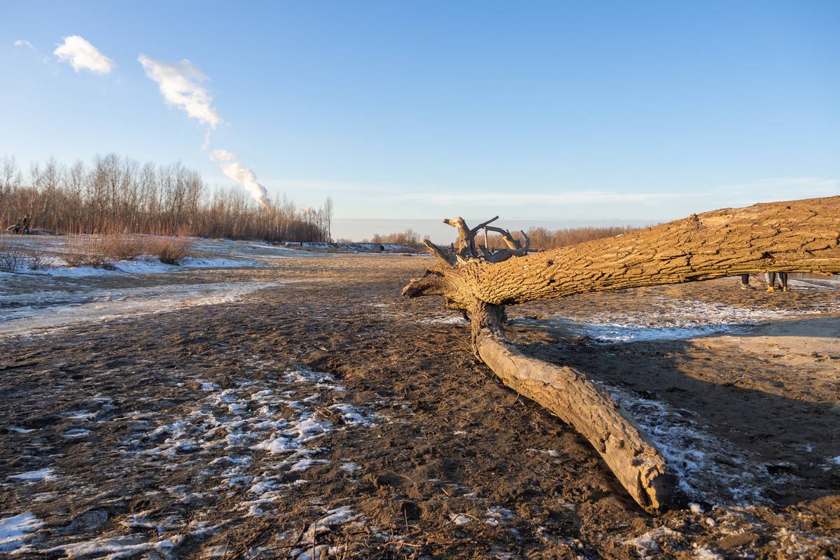 Nazwa:  wisla3.jpg
Wyświetleń: 98
Rozmiar:  204,8 KB