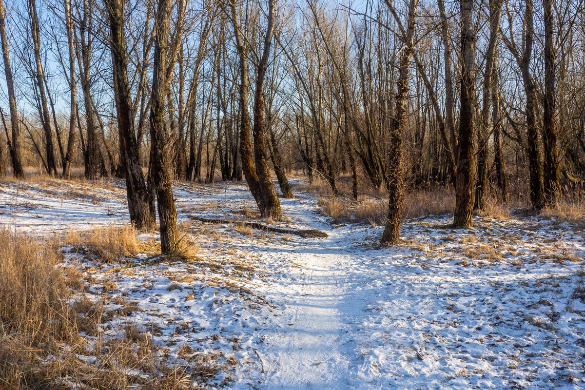 Nazwa:  wisla1.jpg
Wyświetleń: 98
Rozmiar:  348,2 KB