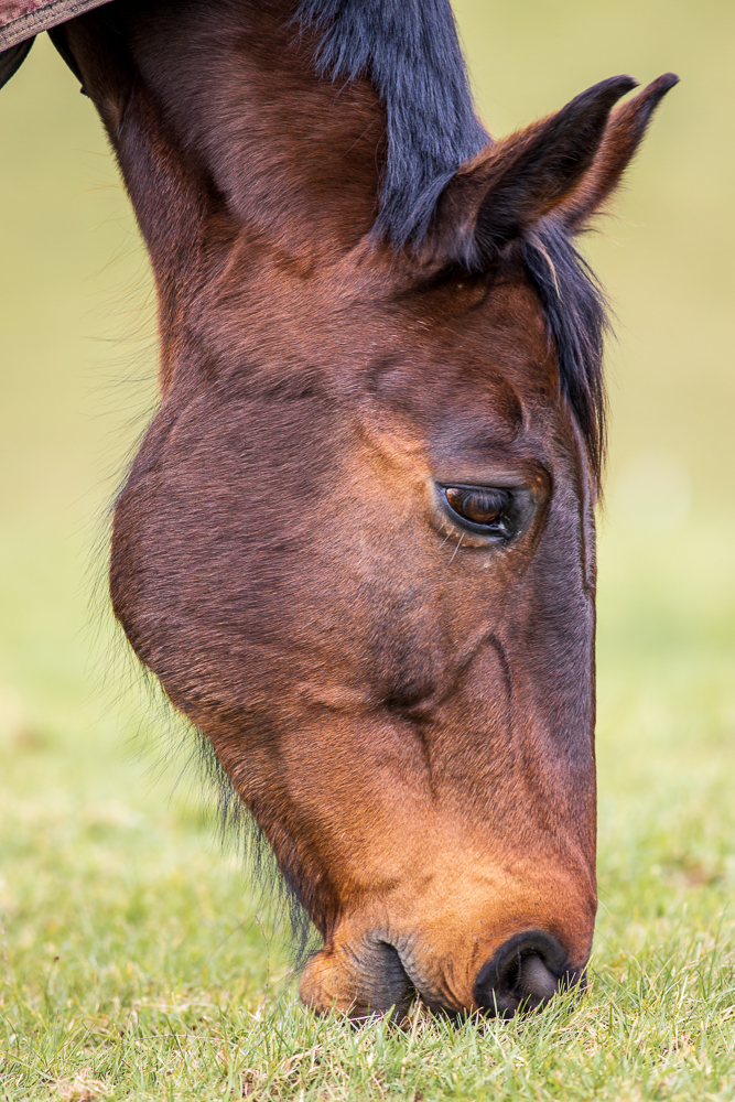 Nazwa:  J28A6924.JPG
Wyświetleń: 89
Rozmiar:  702,3 KB
