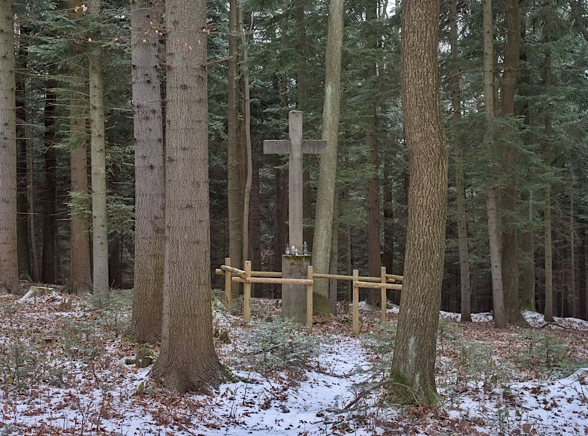 Nazwa:  P1059360.jpg
Wyświetleń: 260
Rozmiar:  2,03 MB