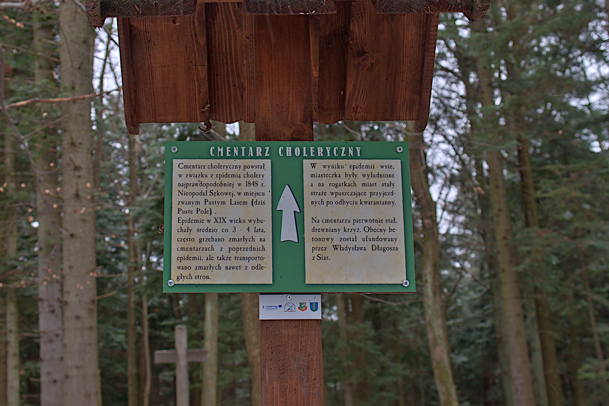 Nazwa:  P1059359.jpg
Wyświetleń: 254
Rozmiar:  1,83 MB