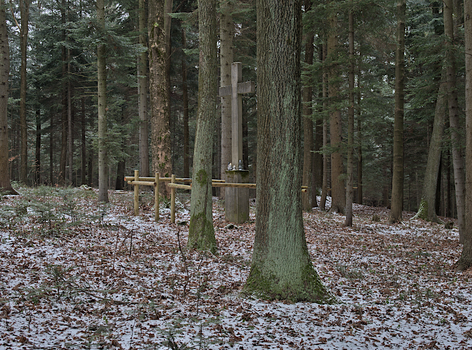 Nazwa:  P1059358.jpg
Wyświetleń: 253
Rozmiar:  1,89 MB