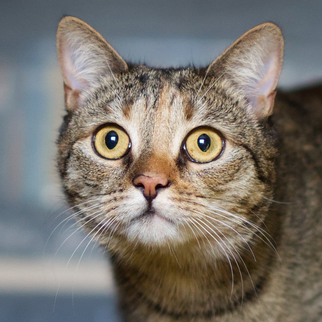 Nazwa:  Maja_007.jpg
Wyświetleń: 295
Rozmiar:  393,5 KB