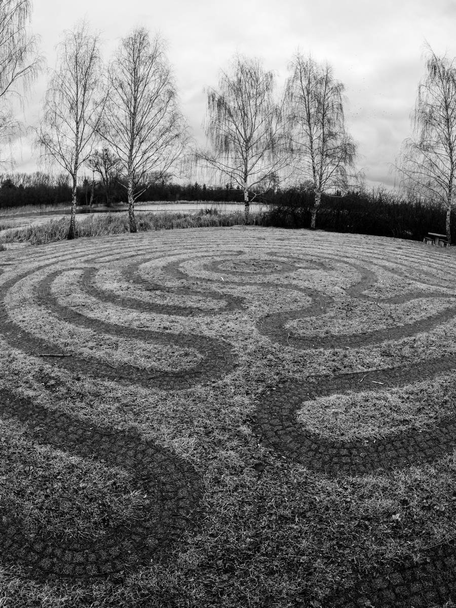 Nazwa:  fisz4.jpg
Wyświetleń: 221
Rozmiar:  319,0 KB