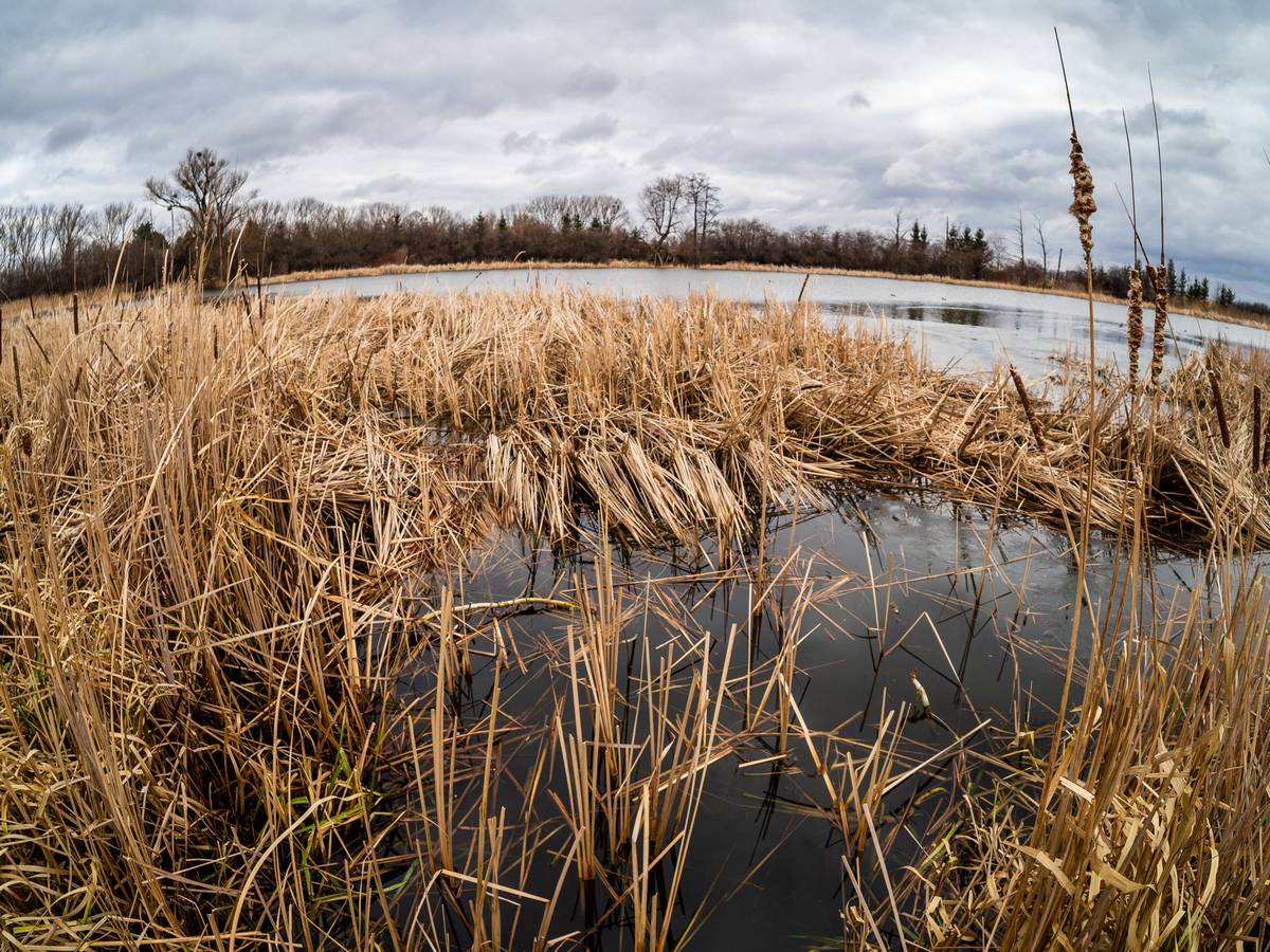 Nazwa:  fisz5.jpg
Wyświetleń: 219
Rozmiar:  295,9 KB