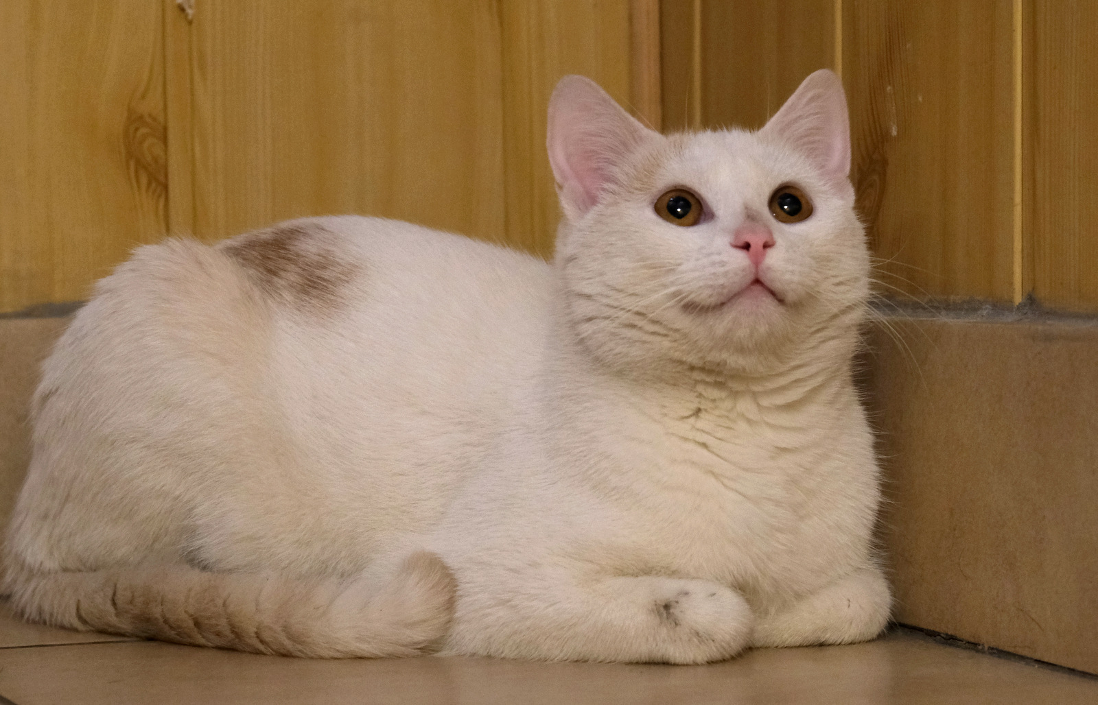 Nazwa:  DSCF0031.JPG
Wyświetleń: 219
Rozmiar:  441,3 KB