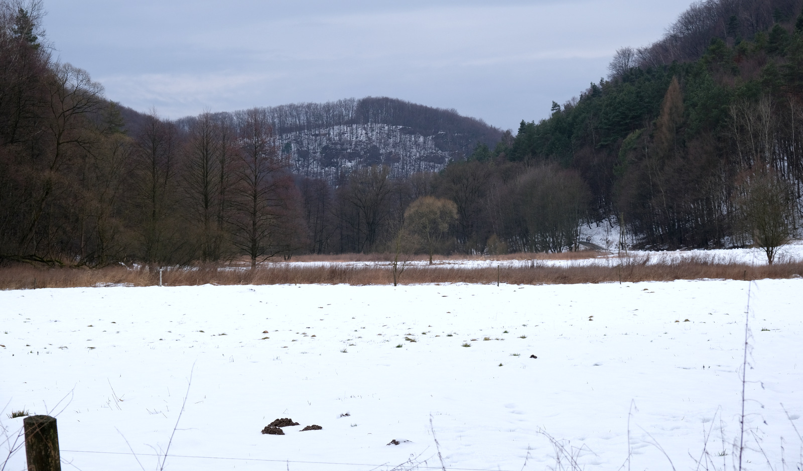 Nazwa:  DSCF0045.JPG
Wyświetleń: 218
Rozmiar:  398,5 KB