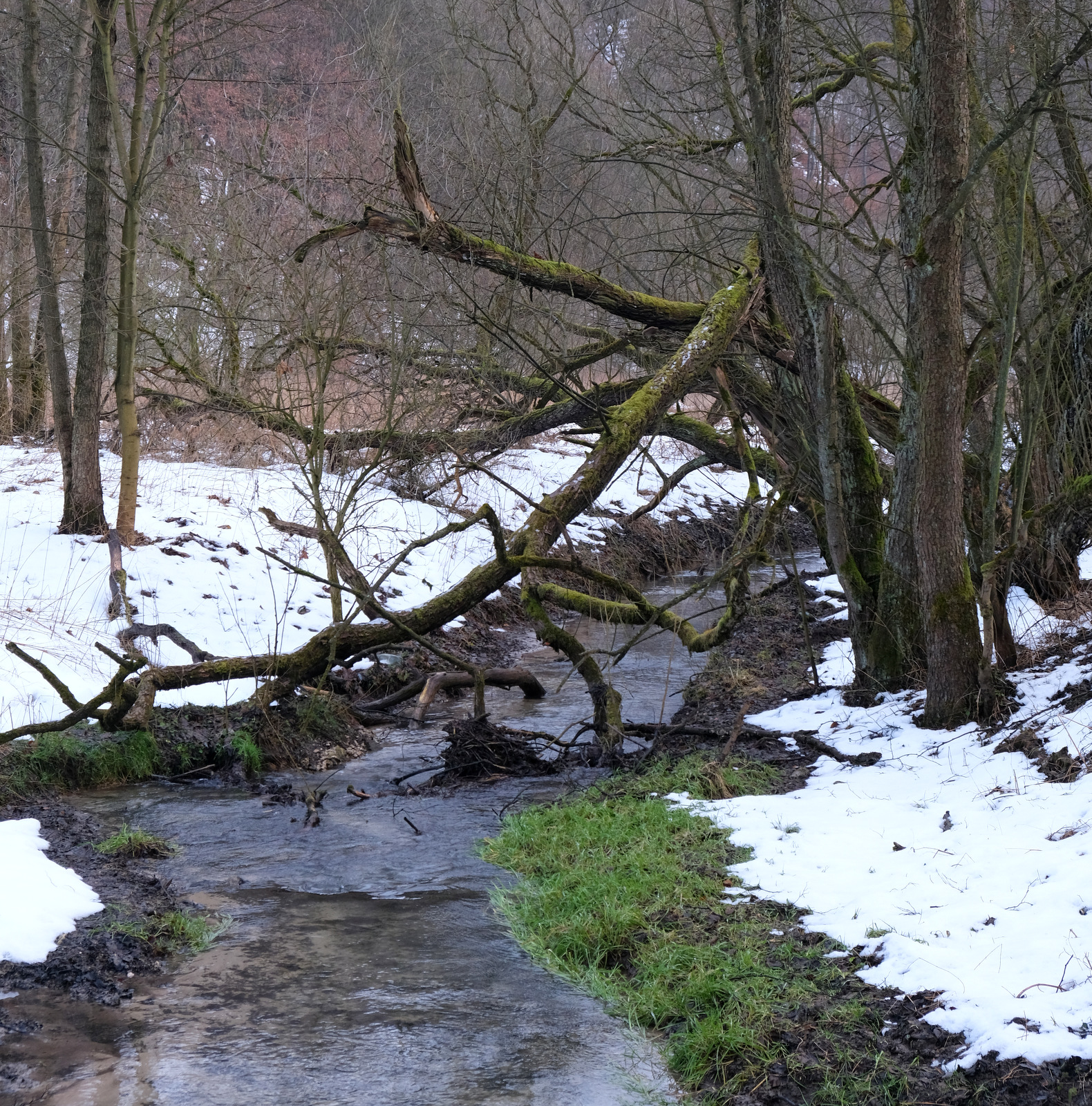 Nazwa:  DSCF0039.JPG
Wyświetleń: 207
Rozmiar:  1,31 MB