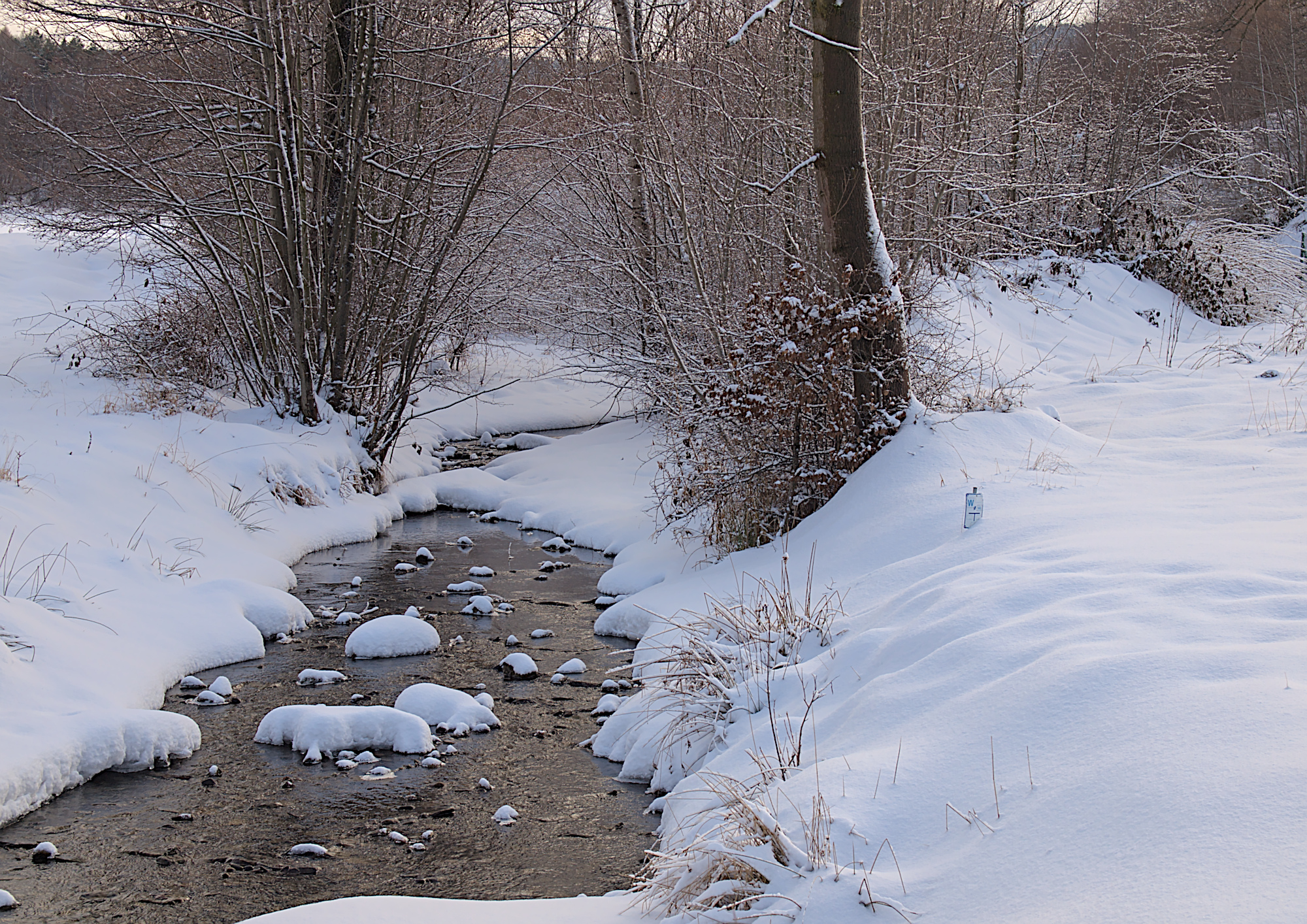 Nazwa:  P2036794.jpg
Wyświetleń: 147
Rozmiar:  1,96 MB