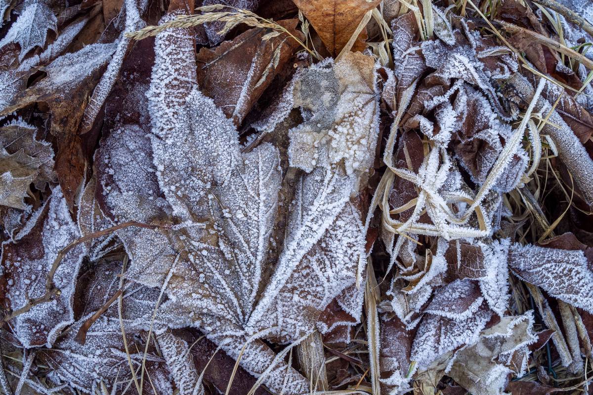 Nazwa:  ok2.jpg
Wyświetleń: 79
Rozmiar:  338,2 KB