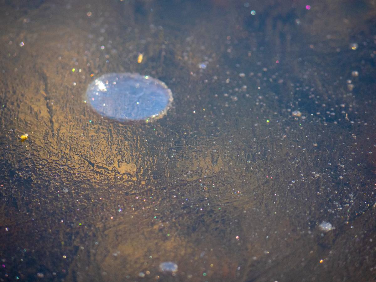 Nazwa:  wil2.jpg
Wyświetleń: 71
Rozmiar:  148,6 KB