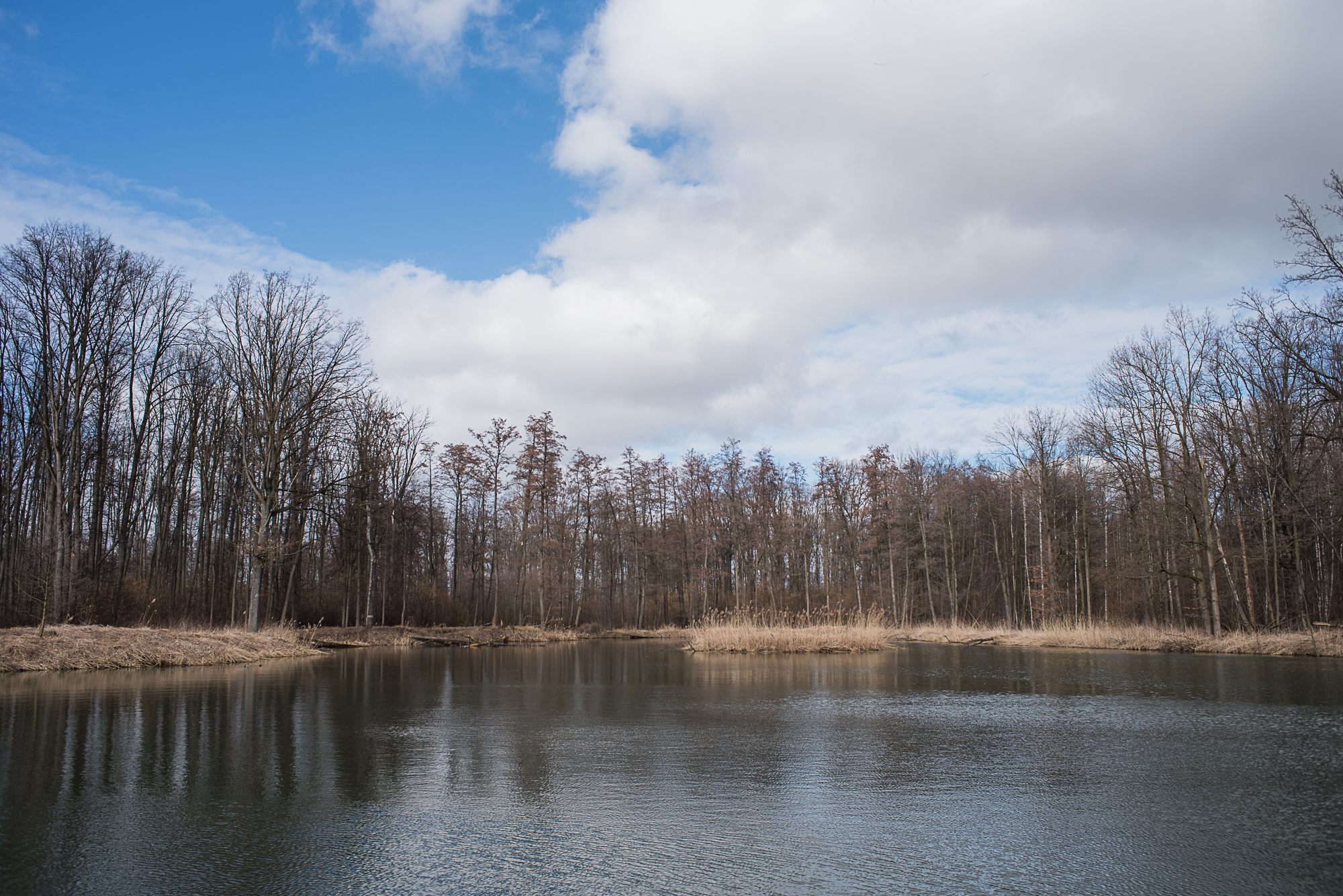 Nazwa:  Of-601.jpg
Wyświetleń: 174
Rozmiar:  2,25 MB