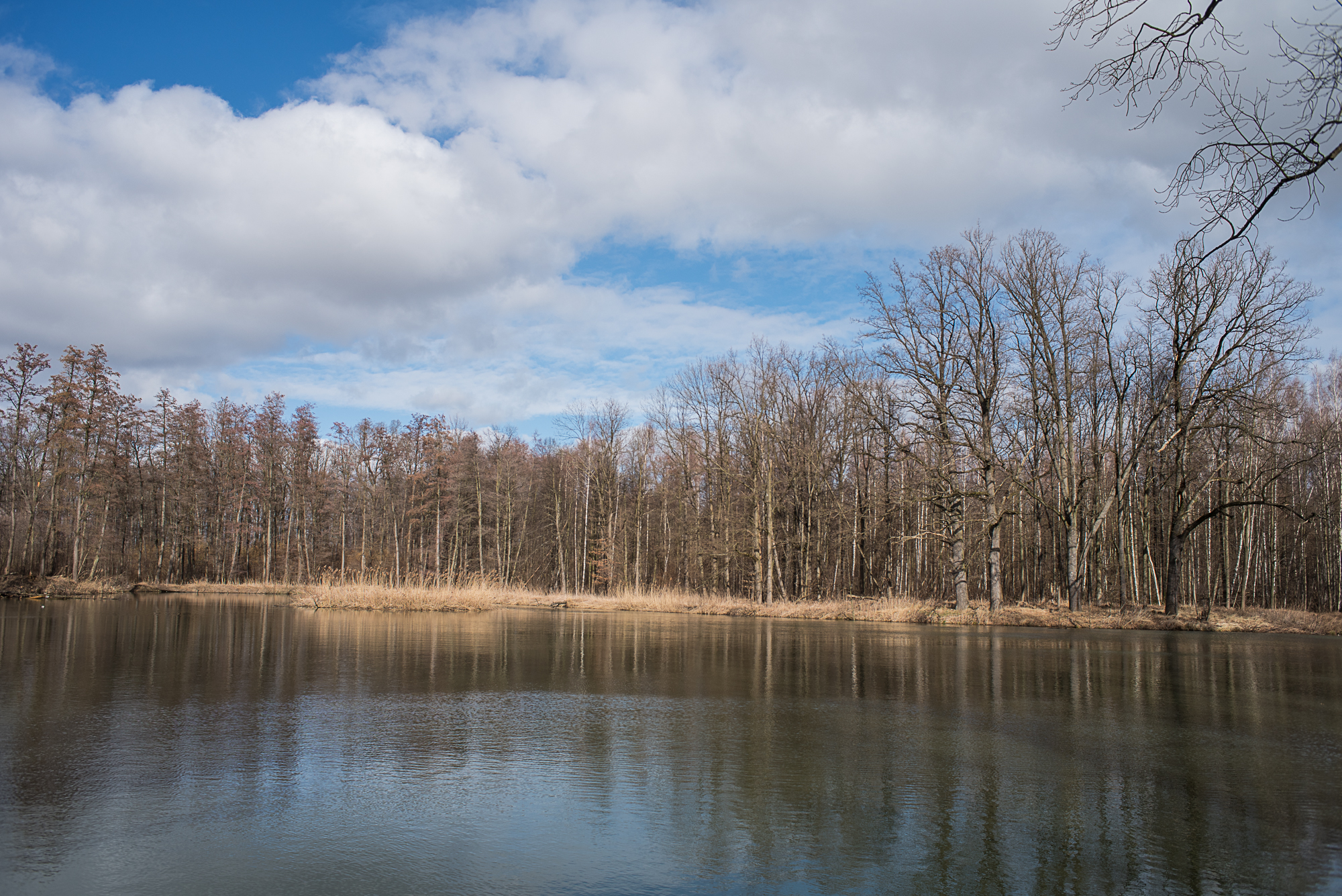Nazwa:  Of-603.jpg
Wyświetleń: 178
Rozmiar:  2,27 MB