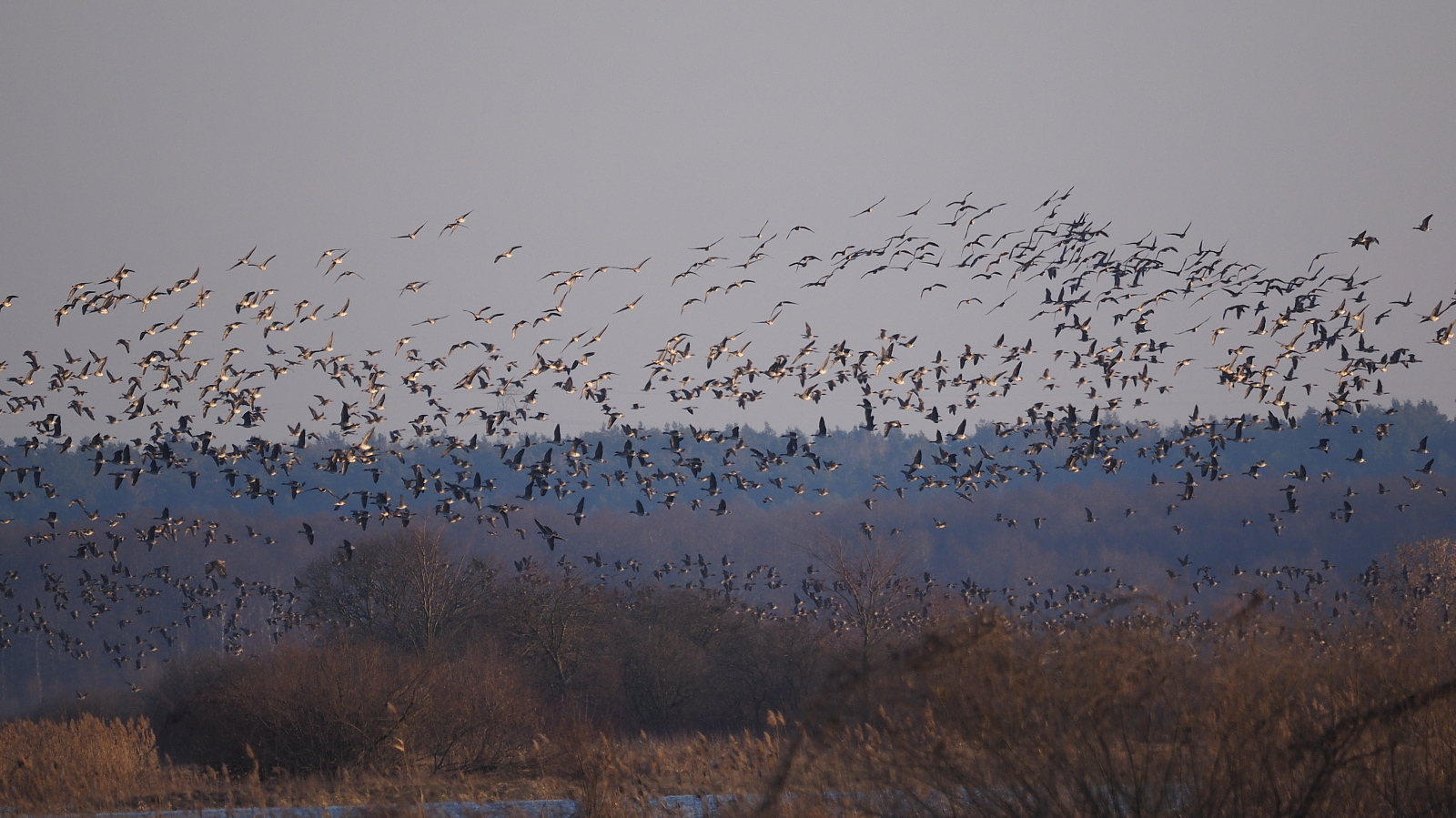 Nazwa:  P2130721_1 (2).jpg
Wyświetleń: 323
Rozmiar:  655,0 KB