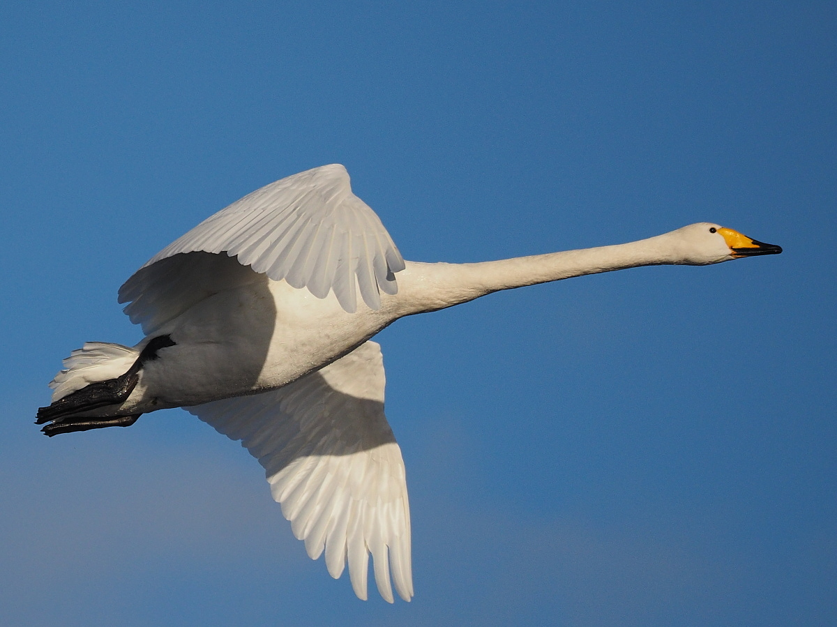 Nazwa:  P2270792_1 (2).jpg
Wyświetleń: 323
Rozmiar:  392,3 KB