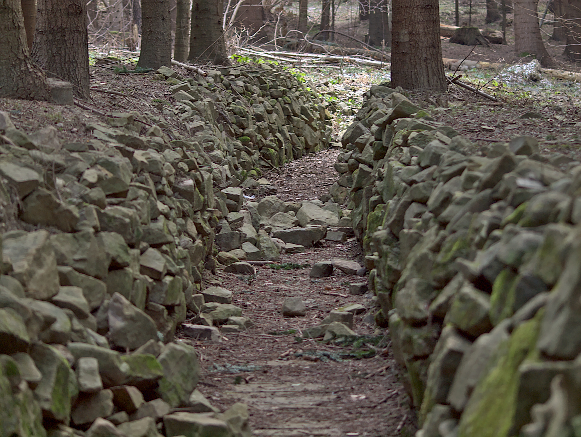 Nazwa:  P3036902.jpg
Wyświetleń: 185
Rozmiar:  1,94 MB