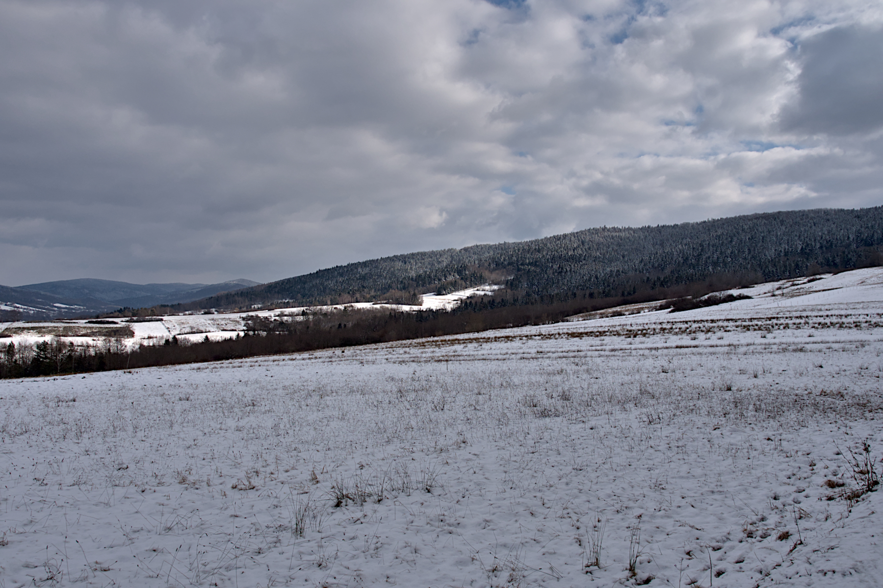 Nazwa:  P1059542.jpg
Wyświetleń: 144
Rozmiar:  1,93 MB