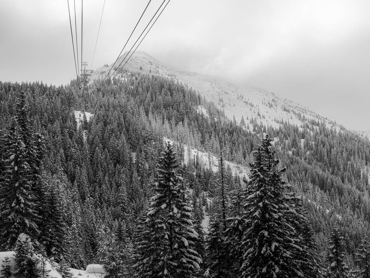 Nazwa:  tatry3.jpg
Wyświetleń: 137
Rozmiar:  261,7 KB