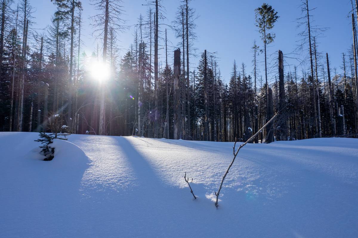 Nazwa:  t1.jpg
Wyświetleń: 118
Rozmiar:  170,3 KB